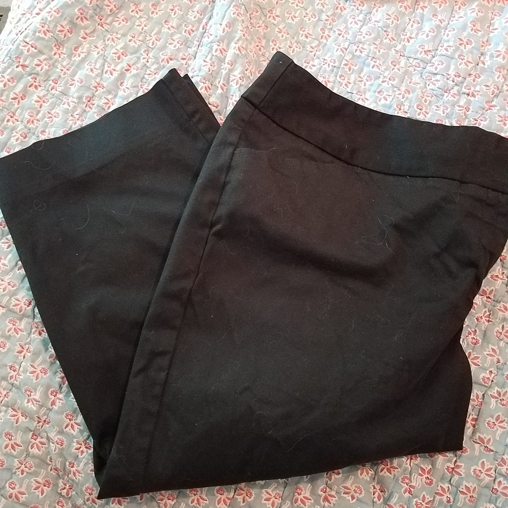 16W Capri Pants